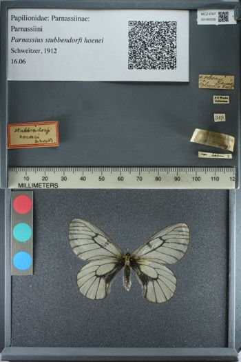 Media type: image;   Entomology 180038